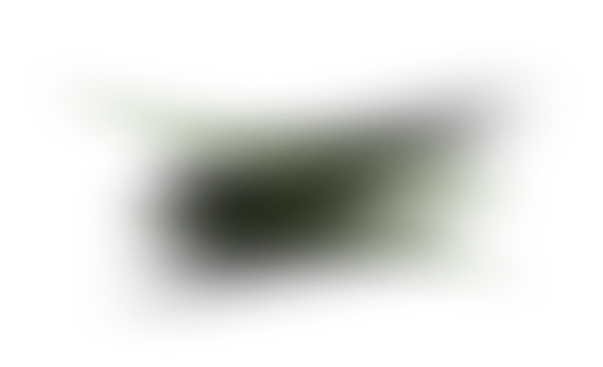 light color green bg
